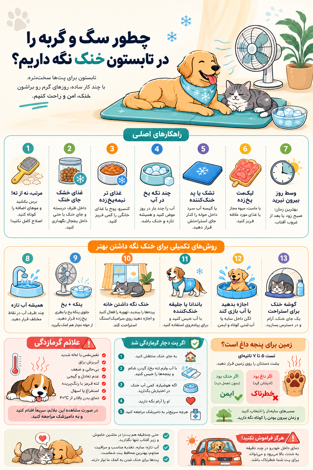 راهکارهای جلوگیری از گرمازدگی پت